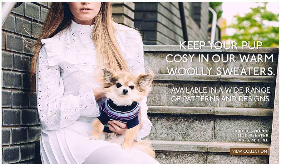 View Urban Pup Knitted Dog Sweaters. Comfortable fashions for Autumn & Winter