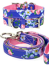 Pink / Blue Floral Burst Fabric Collar & Lead Set - Our Floral Burst pattern collar & lead set is a rich contemporary style and the floral pattern is right on trend. It is lightweight and incredibly strong. The collar has been finished with chrome detailing including the eyelets and tip of the collar. A matching harness and bandana are available to p...