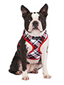 Red & White Plaid Harness